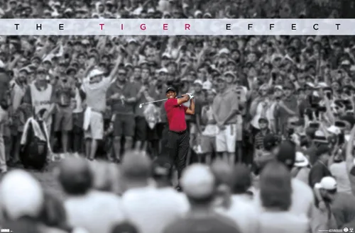 Vista 9 de Trends International Tiger Woods - Póster de pared con efecto tigre, 14.725 x 22.375 pulgadas, versión enmarcada de madera de granero Versión
