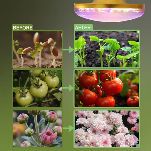 Vista 3 de Luces LED de cultivo para plantas de interior, lámpara de cultivo de plantas de espectro completo, E26/E27 10W luz de crecimiento, luz