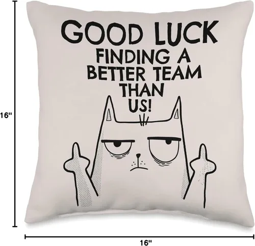 Vista 4 de New Job Gifts & Funny Farewell Coworker Ideas New Job Farewell, divertido compañero de trabajo que se va para hombres y mujeres, almohada de 16 x 16