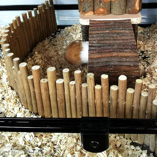 Vista 10 de Juguetes de hámster, flexible de madera para hámster, valla de puerta, juguetes para masticar, decoración de pie para escalada de jerbo, chinchilla
