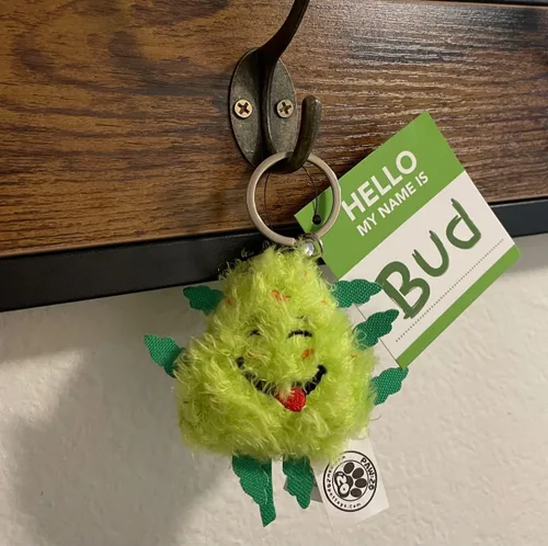 Vista 3 de PAW20 Llavero Bud the Weed Nug Divertido Llavero de felpa genial Regalo divertido Forro polar suave Juguete antiestrés para adultos, Verde