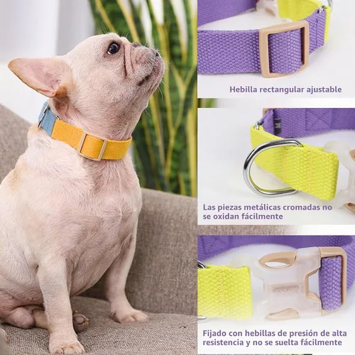 Vista 3 de Juego de arnés y correa para perro sin tirones, collar de perro, arnés halter para perro con soporte para bolsa de excrementos, correas ajustables