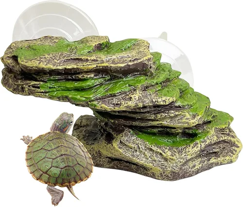 Vista 11 de kathson Plataforma para tomar el sol de tortuga, rampa de escalada de tortugas para bebé, esquisto, reptiles, muelle, terraza, piedra, pequeño
