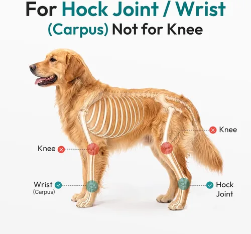 Vista 6 de Dog Leg Brace for Hock Joint, Dog Splint Ankle for Arthritis, Sprains S Azul