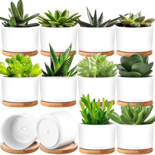 Vista 8 de Cindeer 12 juegos de macetas de cerámica para suculentas, macetas de cactus con bandeja de bambú, maceta cilíndrica pequeña con platillos de bambú