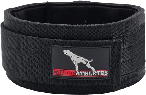 Vista 2 de CANINE ATHLETES Collar para perro de trabajo con peso Elite-HD de 3 pulgadas (3 libras, negro)