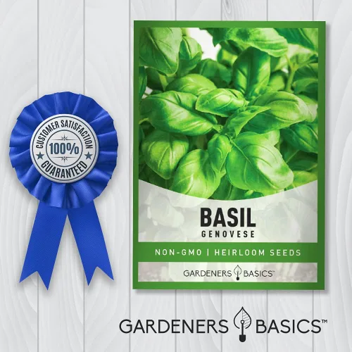 Vista 6 de Gardeners Basics Semillas de albahaca genovesa para plantar semillas de hierbas tradicionales sin OMG para el jardín de hierbas caseras son un gran
