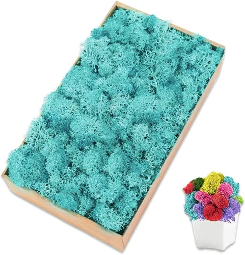 Vista 31 de Musgo de reno azul de 3.5 onzas, musgo preservado para plantas, decoración de musgo, musgo verde para manualidades, musgo para plantas en maceta