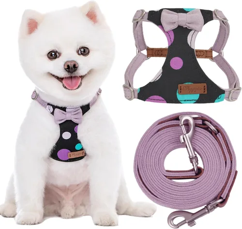 Vista 8 de Arnés sin tirones Puppytie para perro, con correa multifunción, pechera suave y ajustable para mascota, no ahorca, chaleco a prueba de escape, cielo