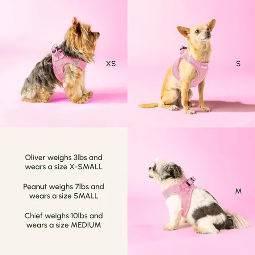 Vista 112 de Downtown Pet Supply Arnés para perro Step-in – Sin tirones, malla acolchada ajustable con ribete reflectante, correa de hebilla segura – Arnés