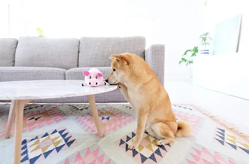 Vista 4 de Outward Hound Fattiez - Juguete de peluche para perro con cerdo chillón, pequeño Engaging Squeak Sounds, Soft Plush & Round Shape, Easy Carry