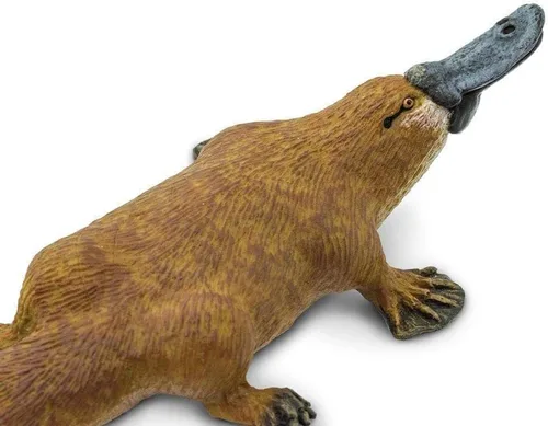 Vista 3 de Safari Ltd. Figura de ornitorrinco – Figura detallada de plástico de 4.75 pulgadas – Divertido juguete educativo para niños, niñas y niños a partir