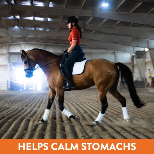Vista 3 de Suplemento de apoyo gástrico Plus para caballos con Omega 3 Alivia úlceras, suplemento calmante, magnesio y otros minerales vitales Polvo, bolsa