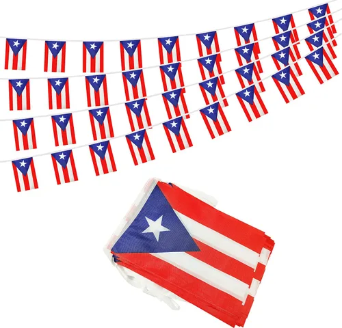 Vista 7 de Bandera argentina de 50 pies con cadena de bandera argentina, mini bandera argentina pequeña, para decoración de fiestas, tiendas y bares
