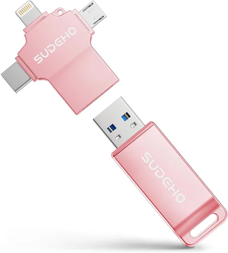 Vista 9 de Memoria USB USB con certificación MFi para iPhone, memoria externa 4 en 1 para ahorro de video y copia de seguridad (plata, 256 GB)