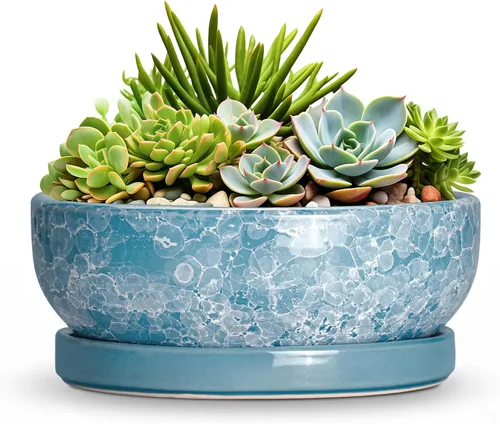 Vista 15 de Succulent Pots, 6 Inch Ceramic Bonsai Pots with Saucer, Blue
