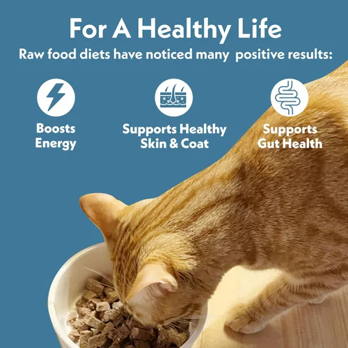 Vista 4 de Fresh Is Best Alimento liofilizado de carne de res para gatos, alimento crudo para gatos y felinos adultos, carne de res liofilizada con alto