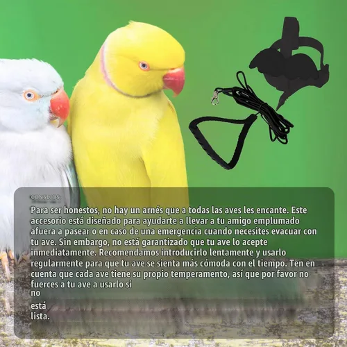 Vista 5 de Correas y arneses ajustables para pájaros, arnés de nailon para pájaros con bonito ala para loros, accesorios para pájaros para mascotas, correa