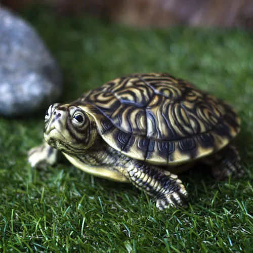 Vista 6 de Pacific Giftware Figura realista de resina de tortuga de vientre amarillo