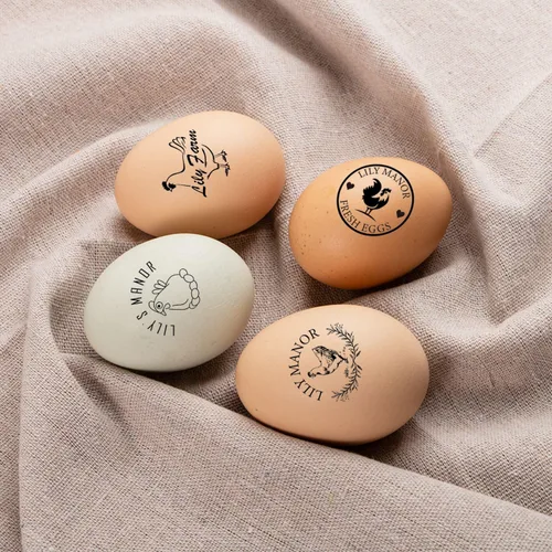Vista 6 de Sellos de huevos personalizados para huevos frescos, sello de pollo de goma pertsonalizado con tu propio diseño, marcado para huevos frescos