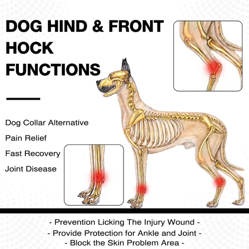 Vista 3 de ROZKITCH Protector de patas de perro para articulación trasera de corvejón o rodilla de pierna delantera, 1 par de mangas de compresión de piernas