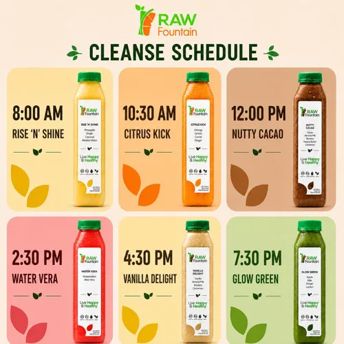 Vista 4 de Raw Fountain, limpieza de jugo de proteína de 3 días, limpieza desintoxicante cruda totalmente natural, frutas prensadas en frío, verduras, sabor