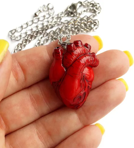 Vista 14 de Collar de corazón anatómico