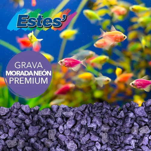 Vista 4 de Spectrastone Permaglo - Grava de acuario de lavanda para acuarios de agua dulce, bolsa de 5 libras