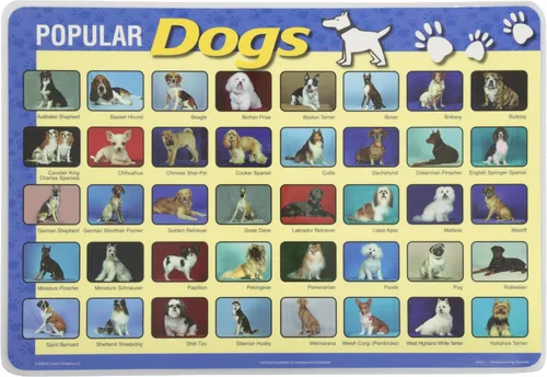 Vista 12 de Painless Learning Popular Birds - Mantel individual, tamaño grande