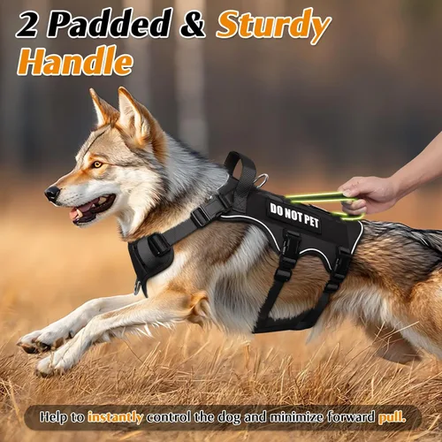 Vista 3 de WINSEE - Arnés para perro a prueba de fugas, arnés Molle de servicio y trabajo con doble asa, chaleco táctico para mascotas con 4 parches