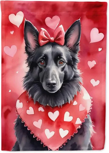 Vista 120 de Caroline's Treasures DAC5252GF Affenpinscher - Bandera de jardín con texto en inglés "My Valentine", bandera decorativa para patio exterior, patio