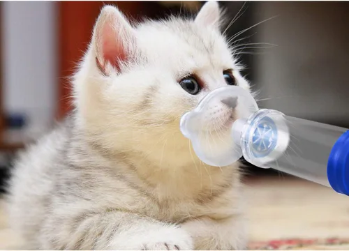 Vista 5 de Espaciador inhalador de gato/perro, inhalador de gato, cámara de aerosol felino, viene con máscara de 2 tamaños para gato/perro e instrucciones