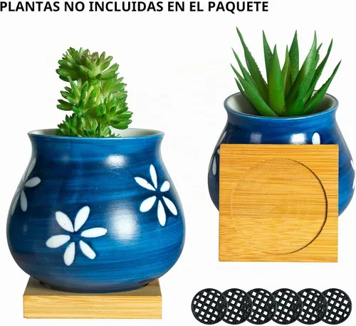 Vista 3 de Lindos maceteros para suculentas con bandeja de drenaje de bambú - Maceteros para suculentas de 3" con orificio de drenaje, maceteros pequeños