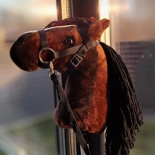Vista 4 de Caballo de juguete para niños A4 Castaño Caballo de juguete con palo