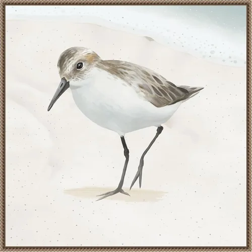 Vista 9 de Amanti Art Framed Canvas Wall Art 16x16 Sandpiper on the Beach II by Lucca Sheppard, Framed Wall Art Canvas, Animals Artwork, Modern Decor, Small