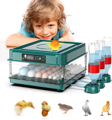 Vista 2 de Incubadora inteligente de aves de corral, 38 huevos, girador automático y control de temperatura para incubar huevos de pollo, codorniz, ave y pato