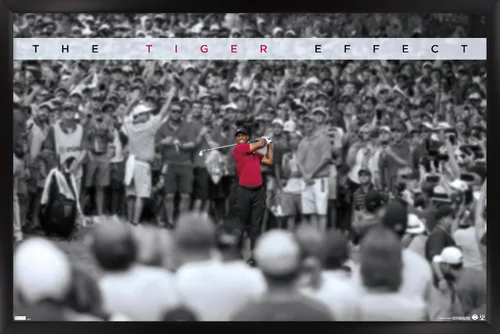 Vista 8 de Trends International Tiger Woods - Póster de pared con efecto tigre, 14.725 x 22.375 pulgadas, versión enmarcada de madera de granero Versión