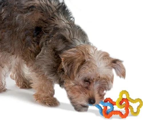 Vista 6 de Petstages Mini Juguete de Tirar y Masticar con Hueso para Cachorros