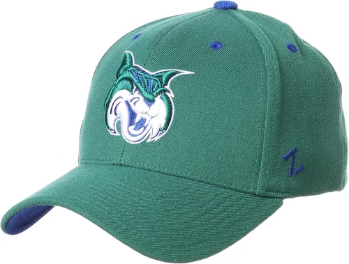 Vista 65 de ZHATS - Sombrero ajustado elástico para hombre de la NCAA, color del