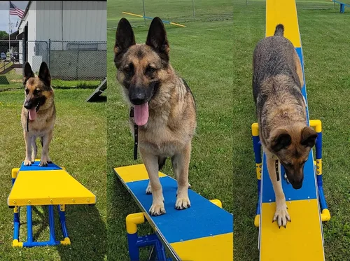 Vista 3 de ActiveDogs Agility - Tablón de aluminio para base Teeter