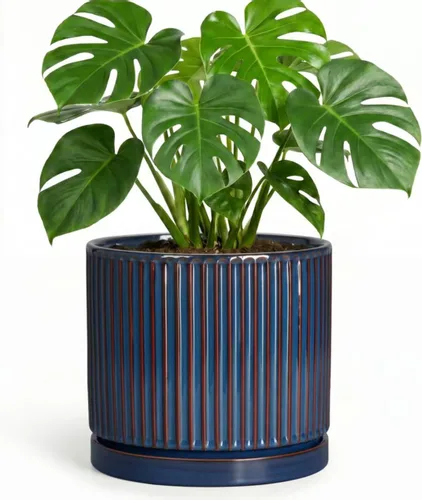 Vista 33 de 8 Inch Flower Pot, Ceramic Planters, Round Plant Pot, Beige