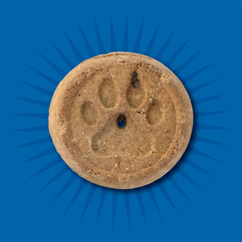 Vista 5 de Evolve Pet Food Galletas de pollo deshuesado sin granos, batata y arándanos para perros, 12 onzas