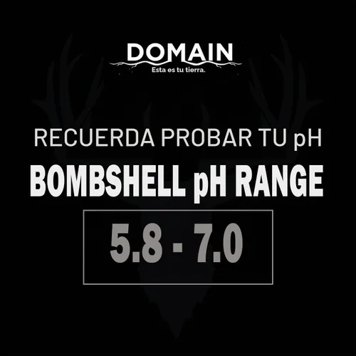 Vista 9 de Domain Outdoor Bombshell - Semilla de parcela de alimentos para ciervos, 1/2 acre, diseñada para manejar las condiciones más duras, establecimiento