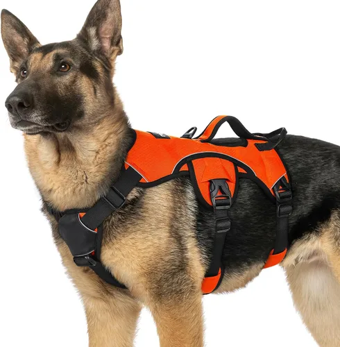 Vista 22 de rabbitgoo - Arnés para perros a prueba de fugas, arnés para mascotas acolchado y suave de cuerpo completo, arnés reflectante ajustable sin tirones