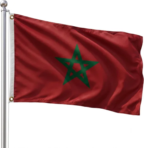 Vista 60 de DMSE - Bandera nacional beninesa beninesa de la República de África Occidental, 2 x 3 pies, 100 % poliéster, 100 % poliéster, resistente a los rayos