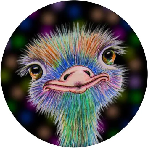 Vista 5 de Ostrich Bird Ostriches Emus Avestruz Ave Bird on Black - PopSockets Grip and Stand for Phones and Tablets