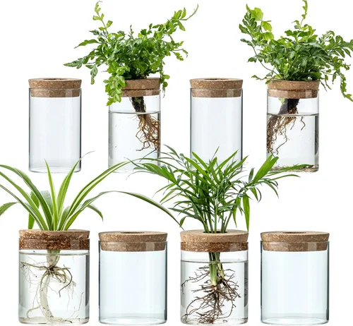 Vista 10 de Estación de propagación de plantas para plantas, 2 tamaños de jarrones de propagación de vidrio para propagar plantas hidropónicas para decoración