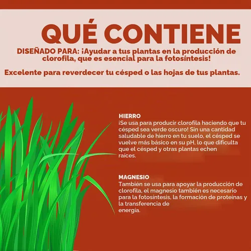 Vista 3 de Bloom City Suplemento de hierro líquido quelatado para césped y plantas, 8