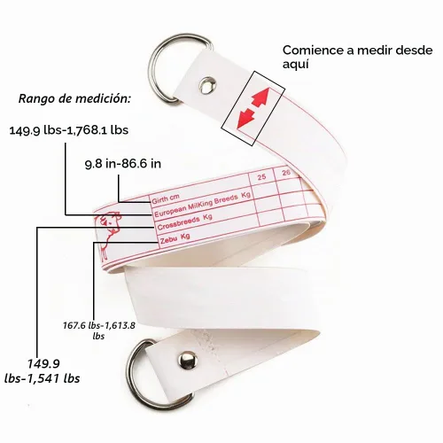 Vista 4 de WIN TAPE Cinta métrica profesional de peso (KG) y altura (CM)