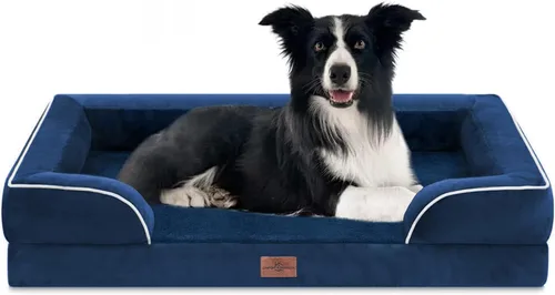 Vista 175 de Comfort Expression - Cama ortopédica para perros medianos, 28 x 19 pulgadas, cama impermeable y de apoyo de espuma con cojines removibles, sofá
